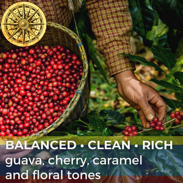 Colombia Huila Aguazul Pink Bourbon